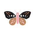 Celestial butterfly vector illustration.