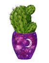 Celestial cactus clip art illustration in flowerpot with stars and cosmos pattern. Bright watercolor succulent isolated