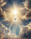 White dove signal and divine light coming from above skies
