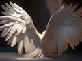 Celestial Elegance: Enhance Your Space with Angel Wing Picture Collection