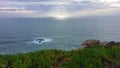 Celestial light saturating the surface of the ocean afar from the darkening greenery of the shore Royalty Free Stock Photo