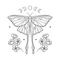 Celestial grainy line geometric luna moth with moon phases and flowers Mystic geometry butterfly with floral arrangement