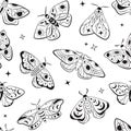 Celestial night moths seamless pattern