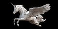 A Celestial White Pegasus with Wings Outstretched Flying Through the Sky for Fantasy Mystical or Celestial Design Projects Royalty Free Stock Photo