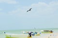 Celestun Beach, Yucatan, Mexico