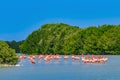 Celestun Biosphere Reserve, Mexico