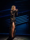 Celine Dion Live Royalty Free Stock Photo