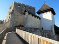 Celje Castle in Slovenia