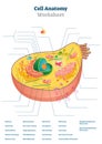 Cell anatomy worksheet vector illustration. Educational task scheme concept