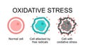 cell attacked by free radicals and cell with oxidative stress