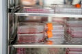 Cell culture flask in the incubator cabinet. Cell culture refers to the removal of cells from an animal or plant and their subsequ Royalty Free Stock Photo