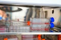 Cell culture flask in the incubator cabinet. Cell culture refers to the removal of cells from an animal or plant and their subsequ Royalty Free Stock Photo