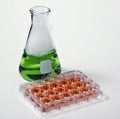 Cell culture plate and green chemicals Royalty Free Stock Photo