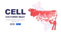 cell cultured veal meat artificial lab grown meat production concept horizontal