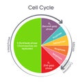 Cell Cycle Biology science illustration graphic Royalty Free Stock Photo