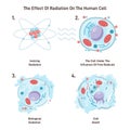 Cell death from ionizing radiation. Free radicals damage a cell structure Royalty Free Stock Photo