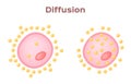 Cell diffusion vector