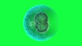 Cell division on a green background