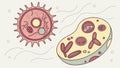 Cell division or virus illustration, biological process and scientific visualization vector design Generative AI