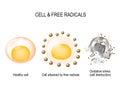 Cell and free radicals Royalty Free Stock Photo