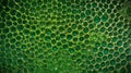 Cell green background. Green background from the cells. Royalty Free Stock Photo