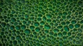 Cell green background. Green background from the cells. Royalty Free Stock Photo