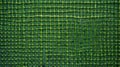 Cell green background. Green background from the cells. Royalty Free Stock Photo