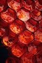 Cell honeycomb light technology geometric design textured shape pattern backgrounds macro hexagon abstract