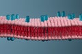 Cell membrane and biology, biological concept, 3d rendering