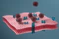 Cell membrane and coronavirus, medical concept, 3d rendering