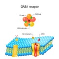 Cell membrane. GABA receptor. Top view of ion channel Royalty Free Stock Photo