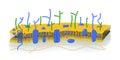 Cell Membrane illustration Royalty Free Stock Photo