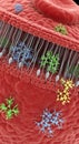 Cell membrane illustration, showcasing a phospholipid bilayer in red with embedded Royalty Free Stock Photo