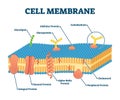 Cell membrane with labeled educational structure scheme vector illustration Royalty Free Stock Photo