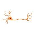 cell neurons cartoon vector illustration