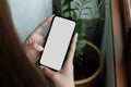 cell phone blank white screen mockup.woman hand holding texting using mobile on desk at office.background empty space Royalty Free Stock Photo