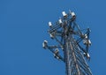 Cell phone or mobile service tower providing broadband internet service against blue sky