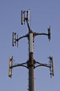 Cell Phone Tower with Birds and Nest Royalty Free Stock Photo