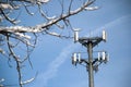 Cell Phone Tower Framed by Snowy Branch