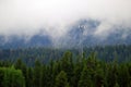 Cell Phone Tower Radio Antenna For Communication Misty Pine Forest Mountains Royalty Free Stock Photo