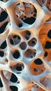 A cell's interior is visible under a microscope, displaying intricate structures and a radiant inner core