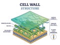 Cell wall structure with plant cellular parts description outline diagram