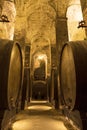 Cellar with barrels for storage of wine