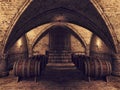 Cellar with wine barrels