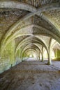 Cellarium With Vaulted Ceiling, Fountains Abbey Royalty Free Stock Photo