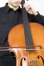 Cellist bowing 3 Royalty Free Stock Photo