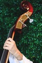 Cellist hands playing orchestra music. Cello player with focus on the hand, close up picture. Musician playing bass violoncello. Royalty Free Stock Photo