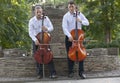 Cellist musician group perform music in the street, close up man playing violin