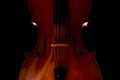 Cello on black background Royalty Free Stock Photo