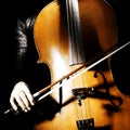 Cello bow Royalty Free Stock Photo